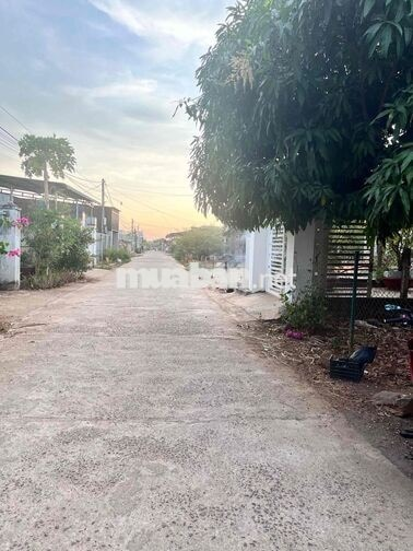 Cần bán đất đối diện chợ Đoàn Kết, xã Hoà Khánh cũ. - Ảnh 3