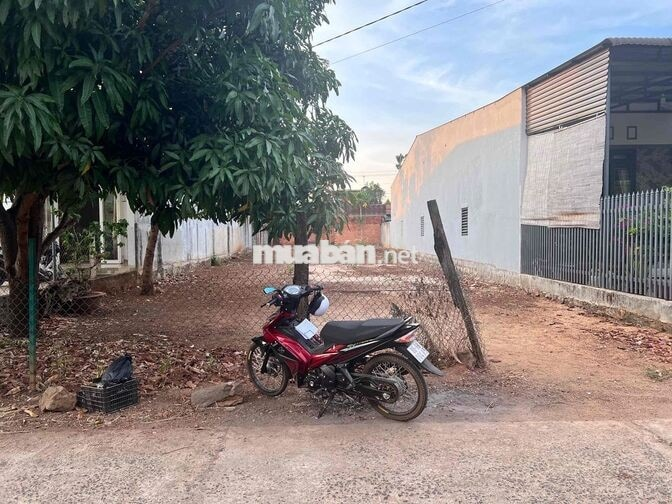 Cần bán đất đối diện chợ Đoàn Kết, xã Hoà Khánh cũ. - Ảnh 4