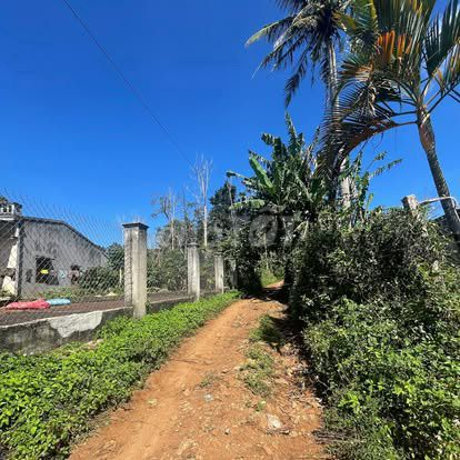 10x43m thổ cư 180m2 góc 2 mặt hẻm buôn Riêng B km19