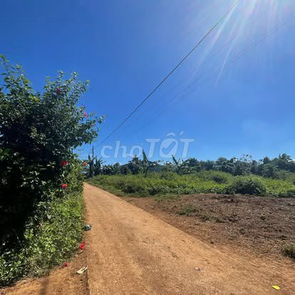 10x43m thổ cư 180m2 góc 2 mặt hẻm buôn Riêng B km19