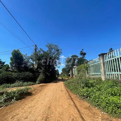 10x43m thổ cư 180m2 góc 2 mặt hẻm buôn Riêng B km19