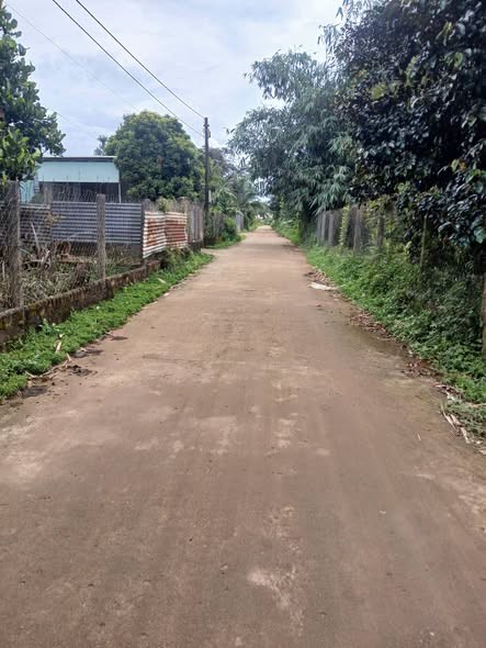 Cần bán lô đất Biển Hồ hẻm Tôn Đức Thắng gần chợ, trường, trung tâm hành chính - Ảnh 2