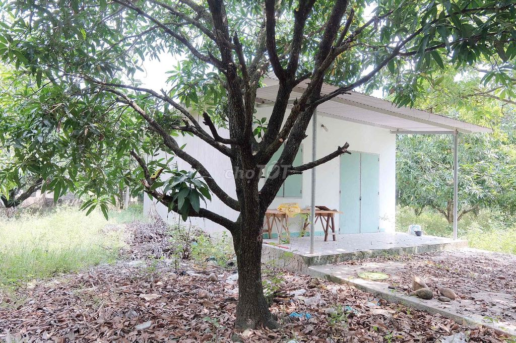 bán đất chính chủ khánh hòa - Ảnh 3