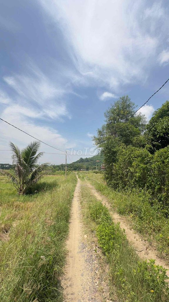 bán đất chính chủ khánh hòa - Ảnh 4