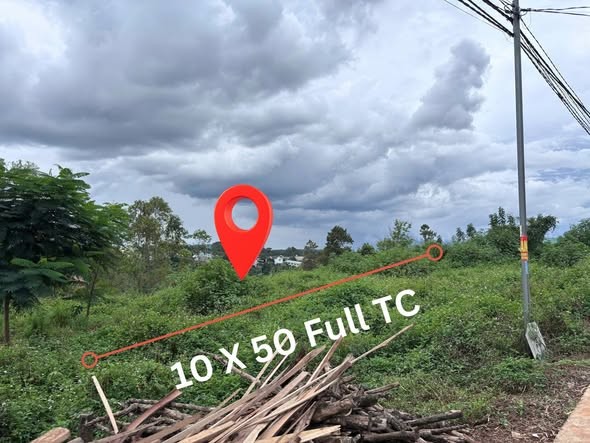 🌳 BÁN ĐẤT THỔ CƯ HẺM HOÀNG SA - Ảnh 2