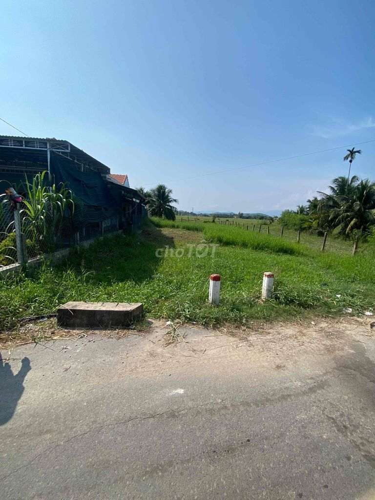 CẦN BÁN ĐẤT MẶT TIỀN 500m2 - Ảnh 3