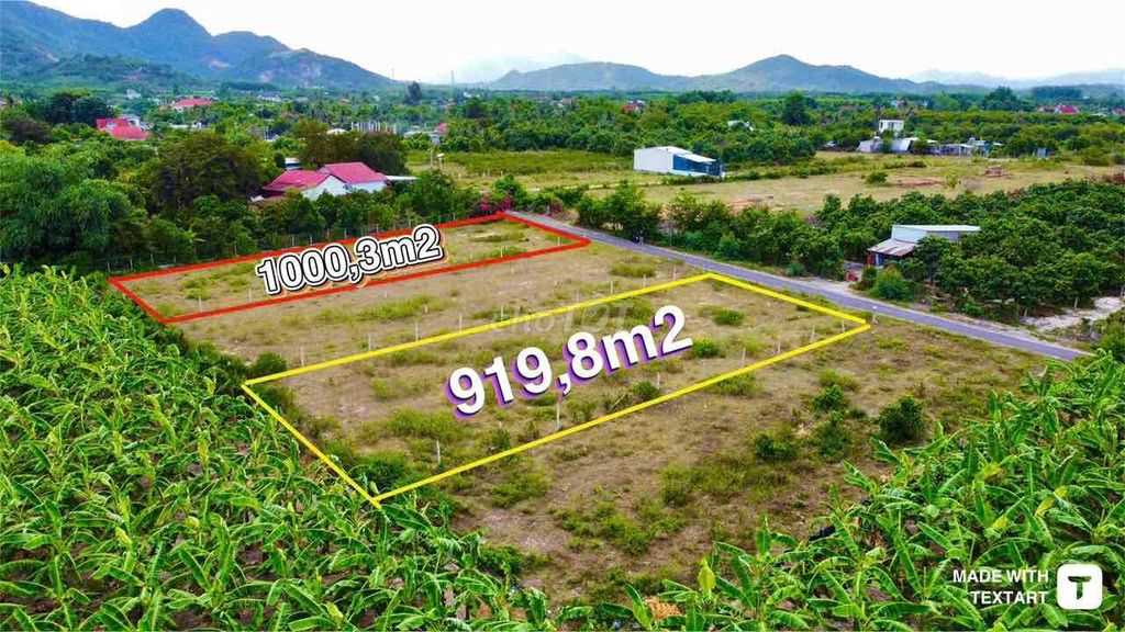 bán đất nền - Ảnh 4