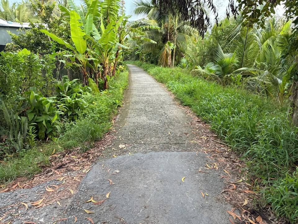 Cần bán 500m đất CLN tại ấp Thanh Bình, Tân Long, Mang Thít, tỉnh Vĩnh Long - Ảnh 1