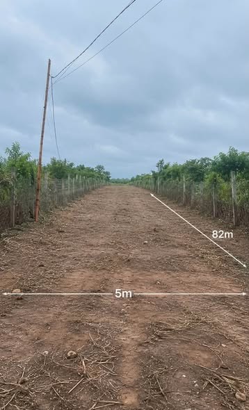 Cần bán đất đường Nguyễn Siêu - Ảnh 2