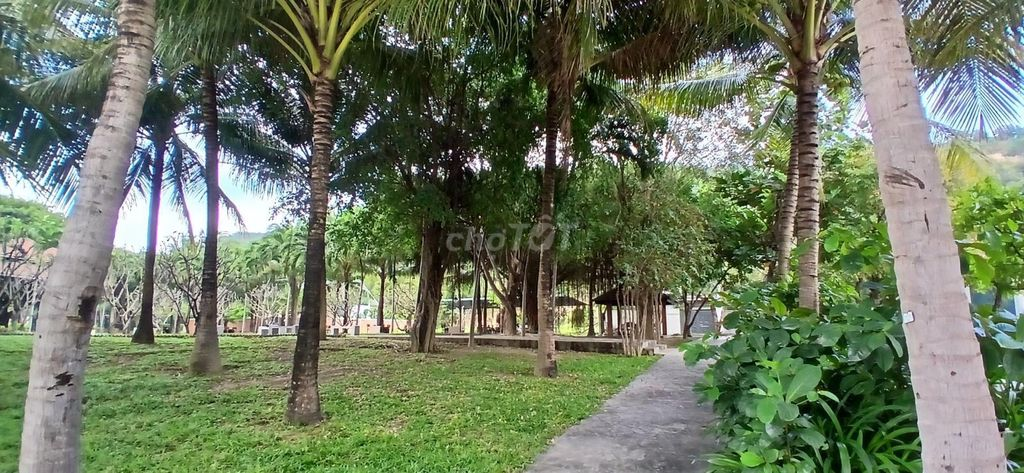 Bán đất Biệt thự biển Giáng Hương, 275m2, chỉ 24tr/m TP Nha Trang - Ảnh 6