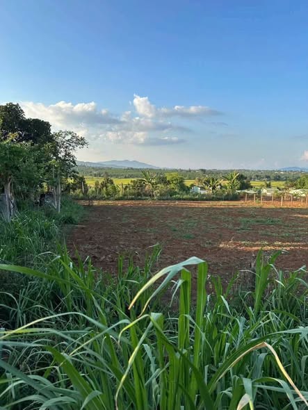 Đất đẹp giá đầu tư phường Pleiku. Sau lưng chợ, trường học, sân vận động Trà Đa. - Ảnh 2