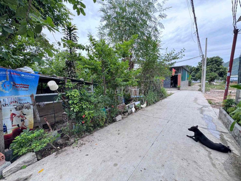 Chủ cần tiền bán nhanh lô đất vườn 318m2 Phước Đồng -P. Nam Nha Trang. - Ảnh 3