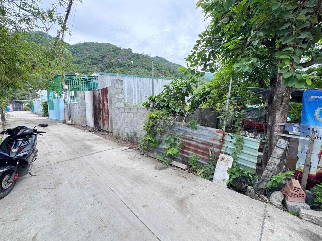 Chủ cần tiền bán nhanh lô đất vườn 318m2 Phước Đồng -P. Nam Nha Trang. - Ảnh 5