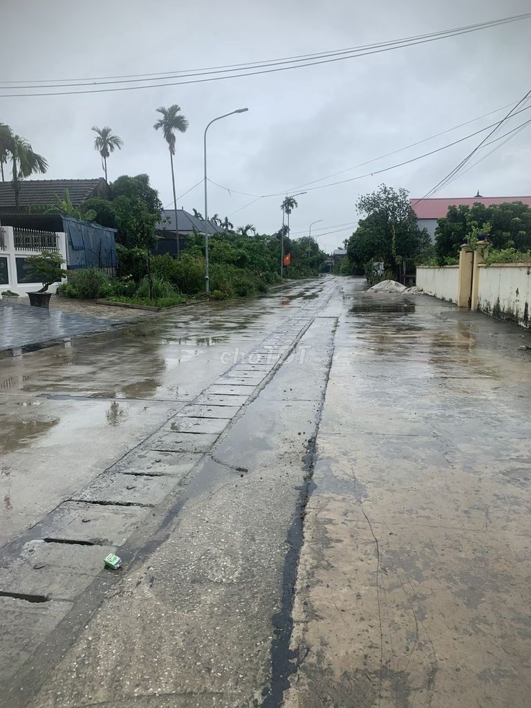 Chính chủ chuyển nhượng đất Đức Phong, Đại Đồng, Kiến Thụy - Đường 15m - Ảnh 5