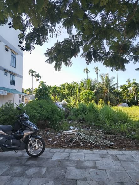 Bán đất nền Chợ Hàng Rượu phường Trương Quang Trọng