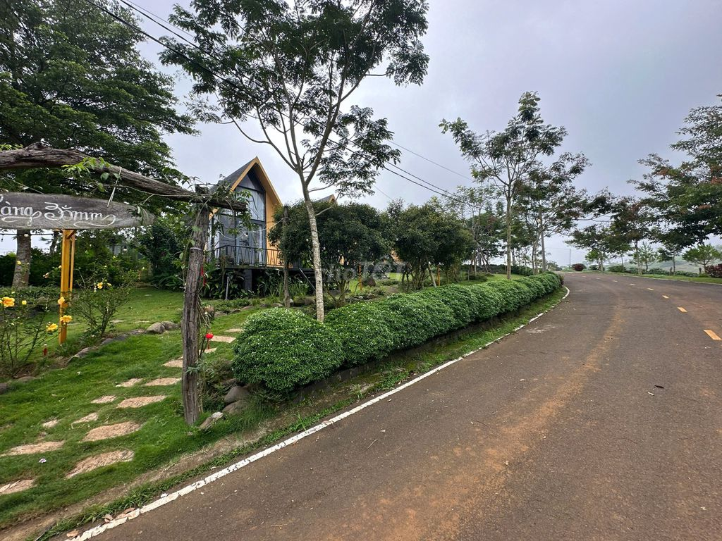 Đất Nghỉ Dưỡng Bảo Lộc - Ảnh 3