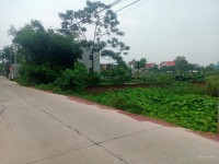 Bán đất ở làm nhà vườn, biệt thự, phân lô - Ảnh 1