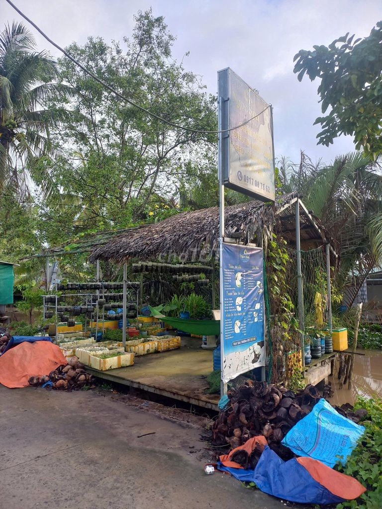 Nhà đường Vườn Mận vừa ở vừa kinh doanh - Ảnh 3