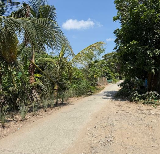 🔰 BÁN ĐẤT MẶT TIỀN RẠCH BỜ AO – GIÁP RANH MỸ THỚI (LỘ Ô TÔ, VIEW KÊNH MÁT MẺ) - Ảnh 2