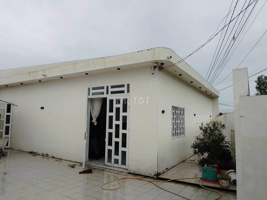 Cần bán nhà vườn mặt tiền 16m - trung tâm xã Lai Vung- KCN Sông Hậu - Ảnh 1