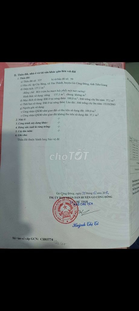 bán nhà mặt tiền đường nhựa 862 Gò Công - Ảnh 3