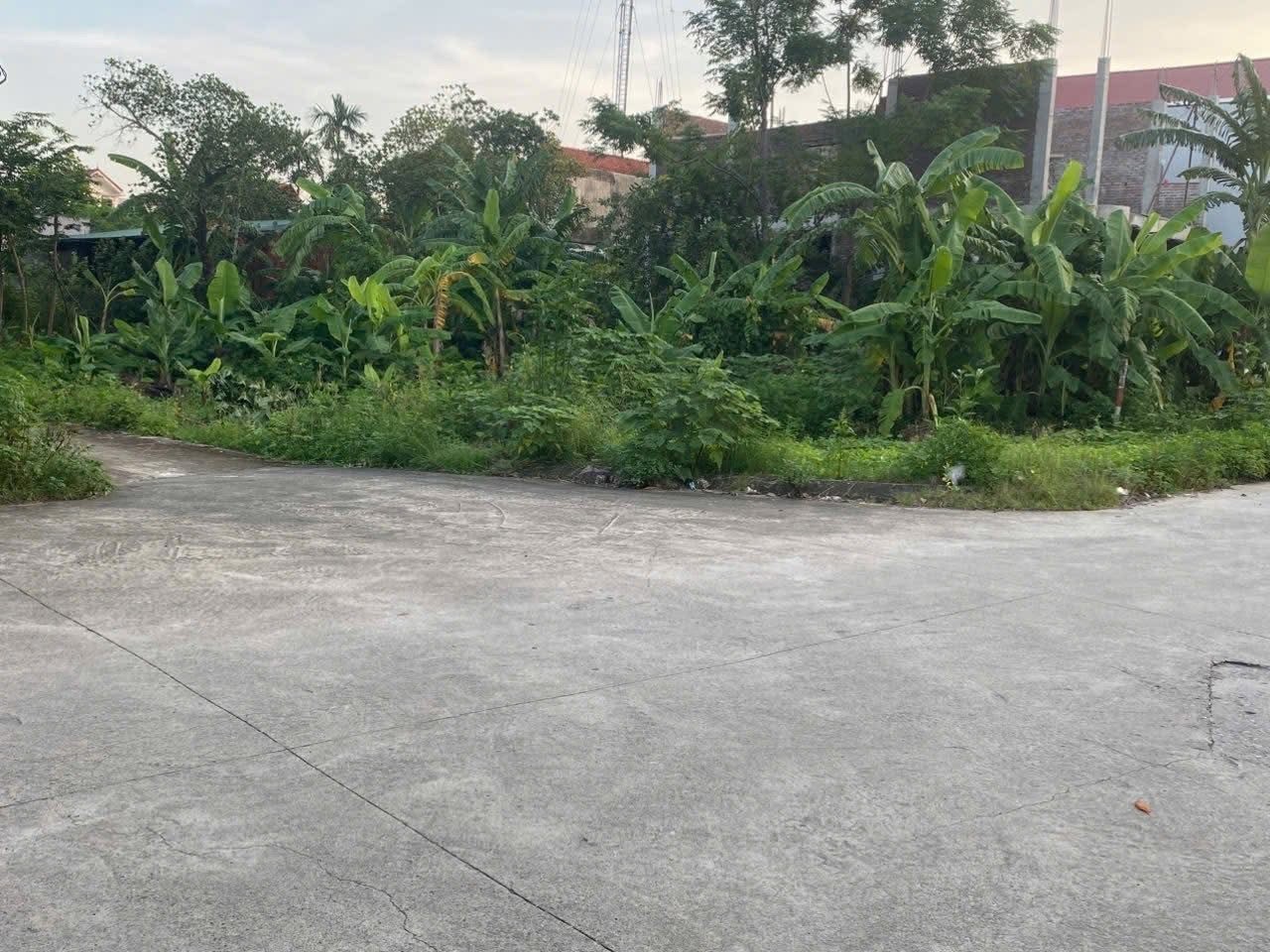 Bán Đất 103m2 có sẵn 103 m2 thổ cư giá 4.5 tỷ tại - Chọn - Phường Ninh Khánh Thành phố Ninh Bình Ninh Bình - Ảnh 2