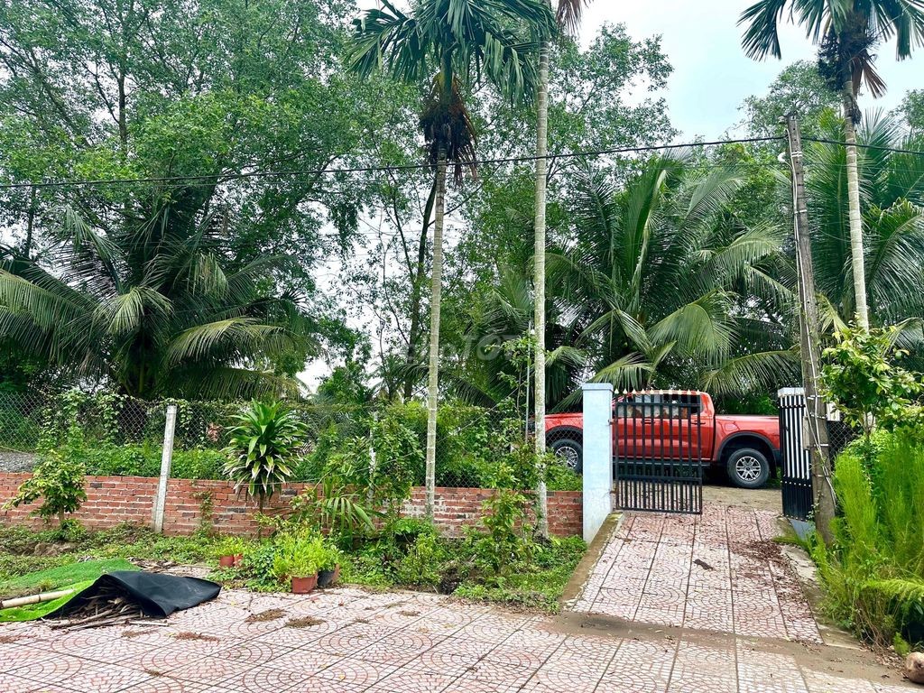cần bán nhà cách cầu số 1 800m - Ảnh 6
