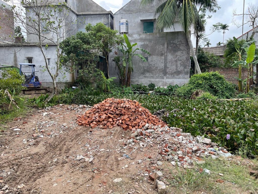 Cần bán đất ở Trang Quan , An Hải, Hải Phòng - Ảnh 2