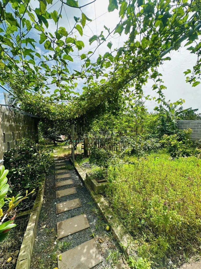 Cần bán gấp vườn + nhà villa đẹp-thanh toán trước 50% nhận nhà ngay - Ảnh 5
