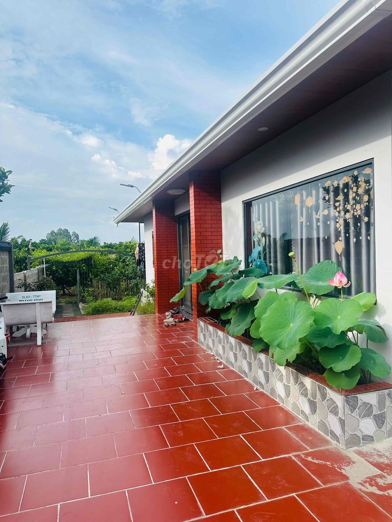 Cần bán gấp vườn + nhà villa đẹp-thanh toán trước 50% nhận nhà ngay - Ảnh 10