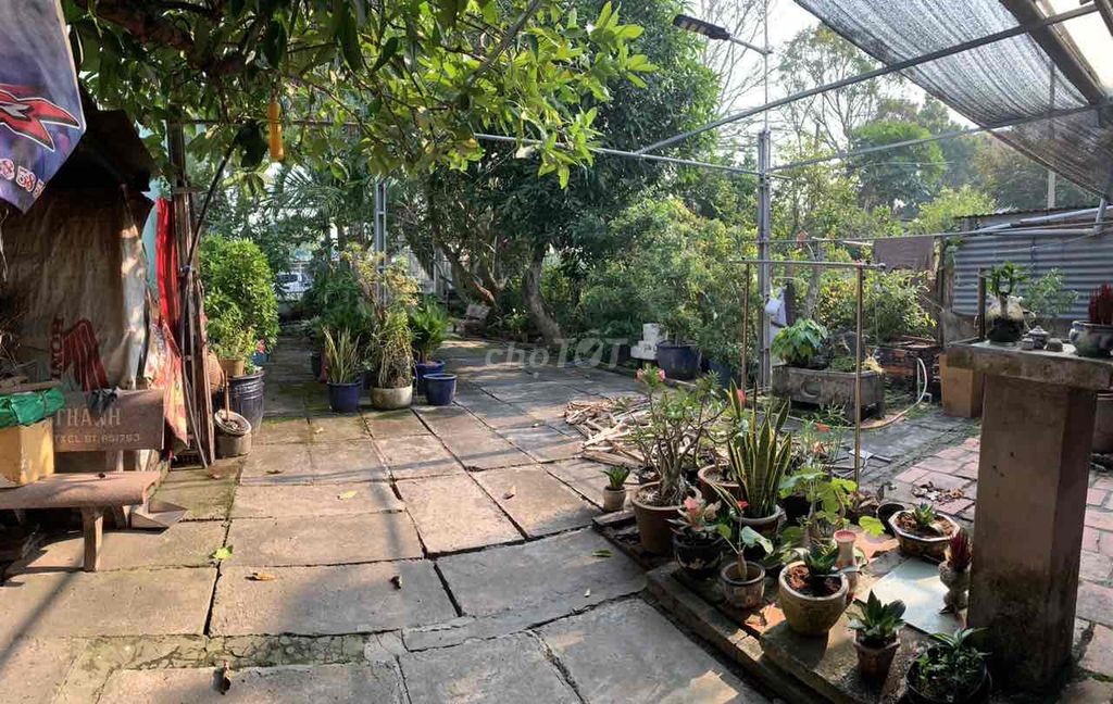 Đất KDC Tây Hồ - 02 MT Chi Lăng - Cách Trung Tâm 5p - 320m2 Full Thổ - Ảnh 5