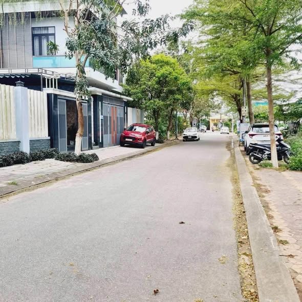 🔥 CHỦ HẠ GẦN 500 TRIỆU – BÁN NHANH ĐẤT MT CẨM THÀNH - Ảnh 2