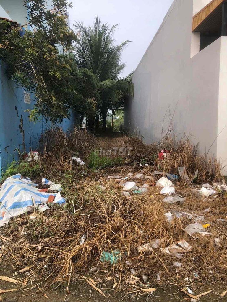 Bán đất khu dân cư tân xuyên lộ nhựa, sau là sông gió mát quanh năm - Ảnh 2