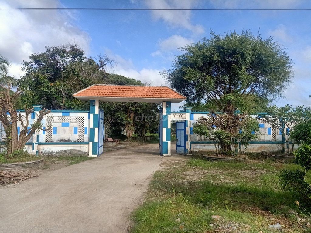 MT Quản Lộ Phụng Hiệp, Tân Thành, Cà Mau, 8898m, ngang 69m, chỉ 29 tỷ. - Ảnh 2