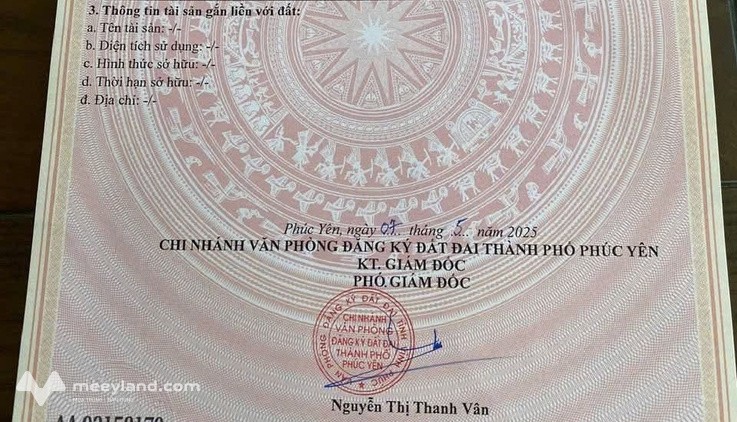 Sở hữu ngay 3 lô đất trung tâm Xuân Hòa, Phúc Yên, tư sinh lời cực đỉnh - Ảnh 1