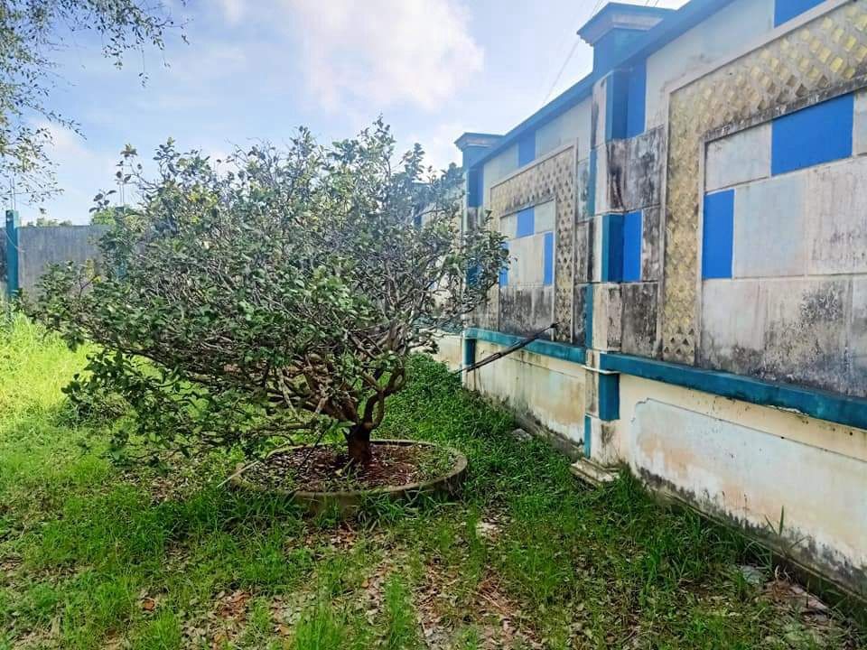 Quản Lộ Phụng Hiệp, Tân Thành, Cà Mau, 8898m, ngang 69m, chỉ 29 tỷ