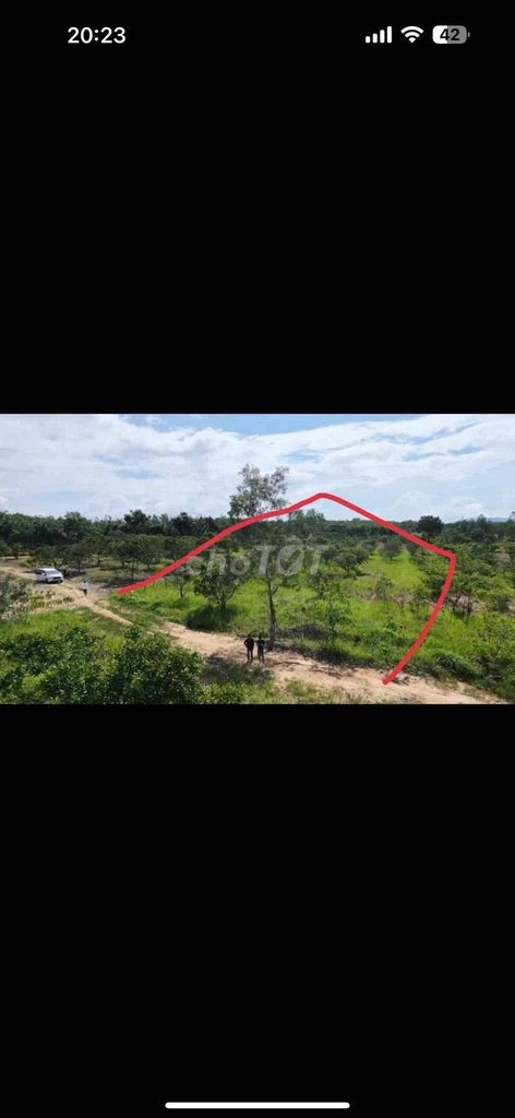Tôi chính chủ cần bán gấp 7600m2 giá chỉ 298cả lô - Ảnh 2