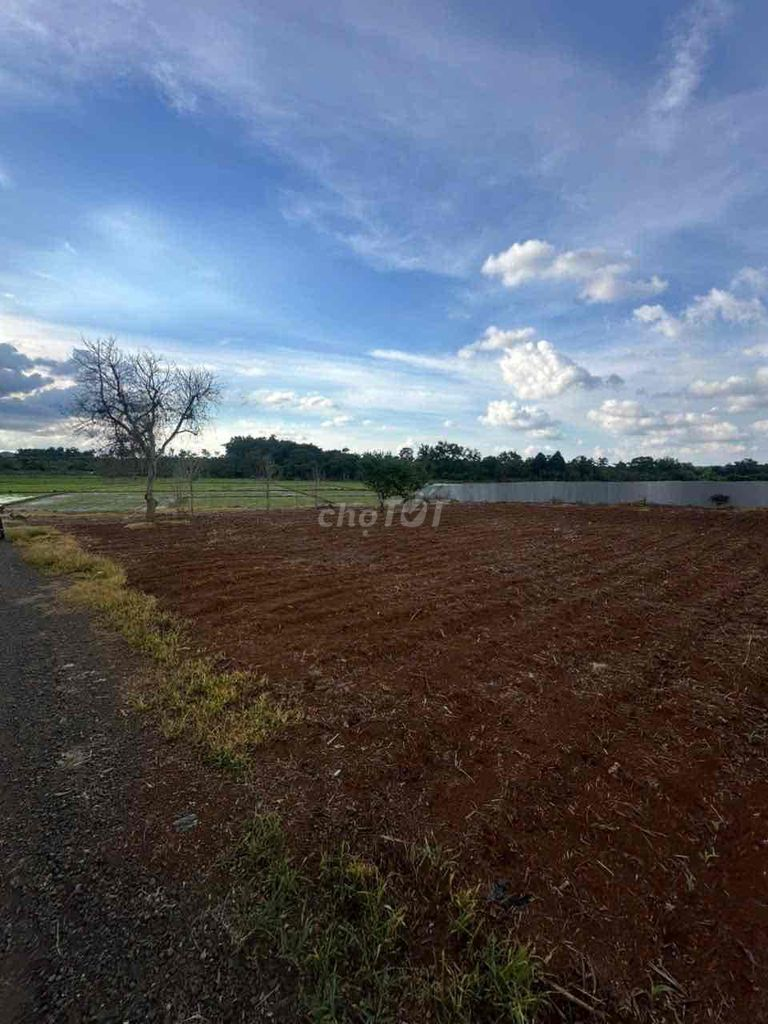Bán Đất view cánh đồng 2096m2 có sẵn 100 m2 thổ cư giá 1.89 tỷ daklak - Ảnh 1