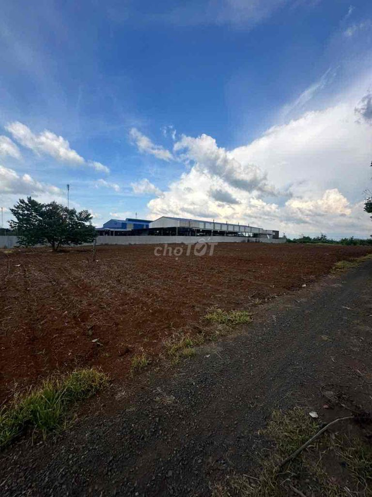 Bán Đất view cánh đồng 2096m2 có sẵn 100 m2 thổ cư giá 1.89 tỷ daklak - Ảnh 2