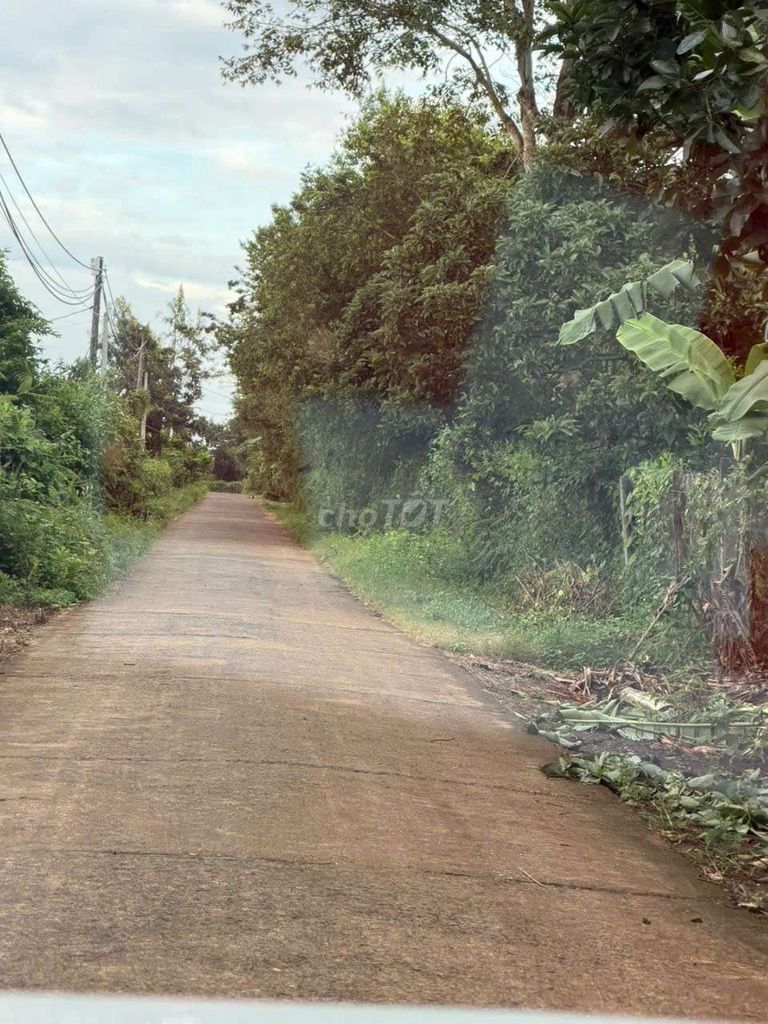 Cần bán lô đất mặt tiền bê tông thôn Đại Đồng Eanoul
