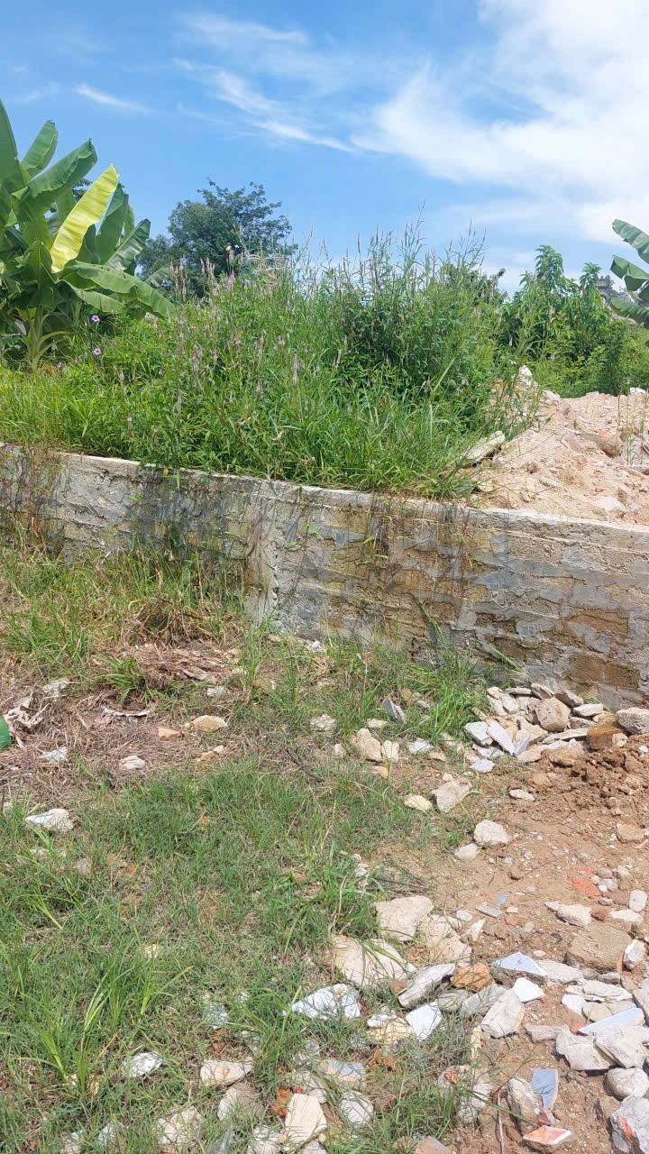 Bán đất đường hồ thừa 📌📌📌Làm việc trực tiếp giá tốt !!! - Ảnh 3