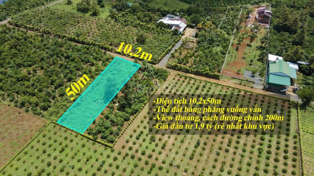 500m2 đất đẹp cần bán - Ảnh 3