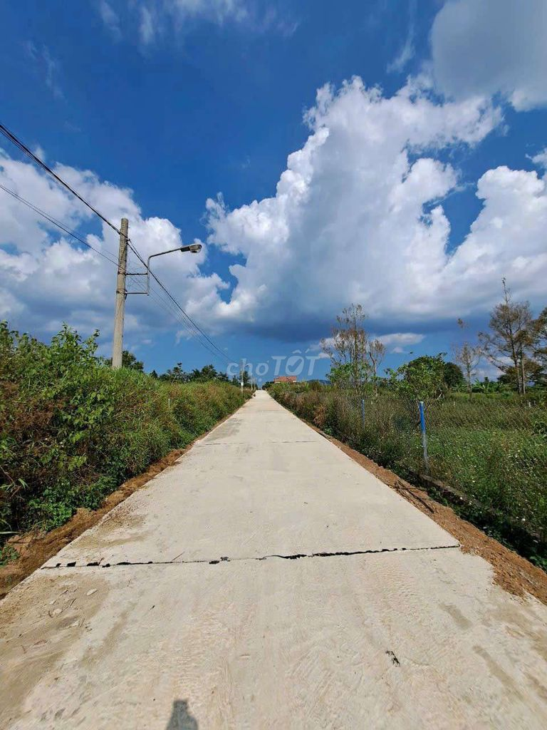 500m2 đất đẹp cần bán - Ảnh 4