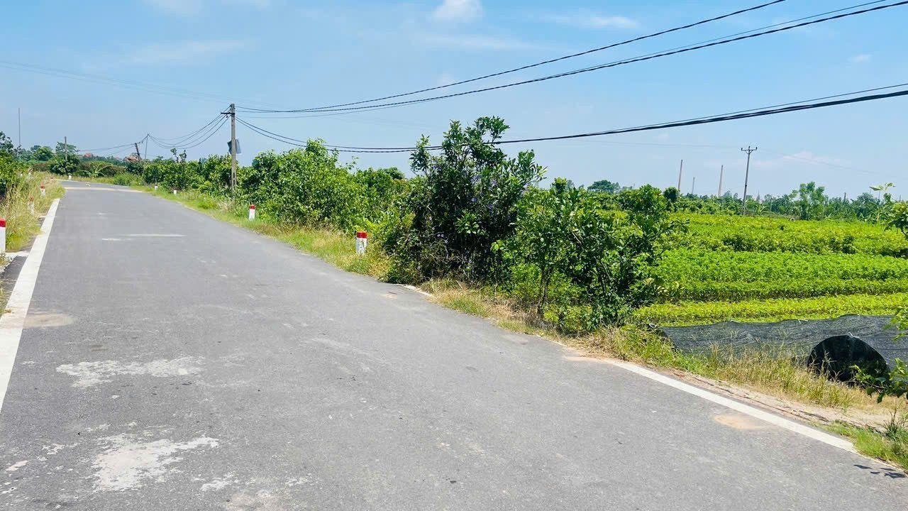CHỦ VỠ CẦN BÁN GẤP LÔ ĐẤT CHÂU NINH 100M2  NHỈNH 1 TỶ - Ảnh 3