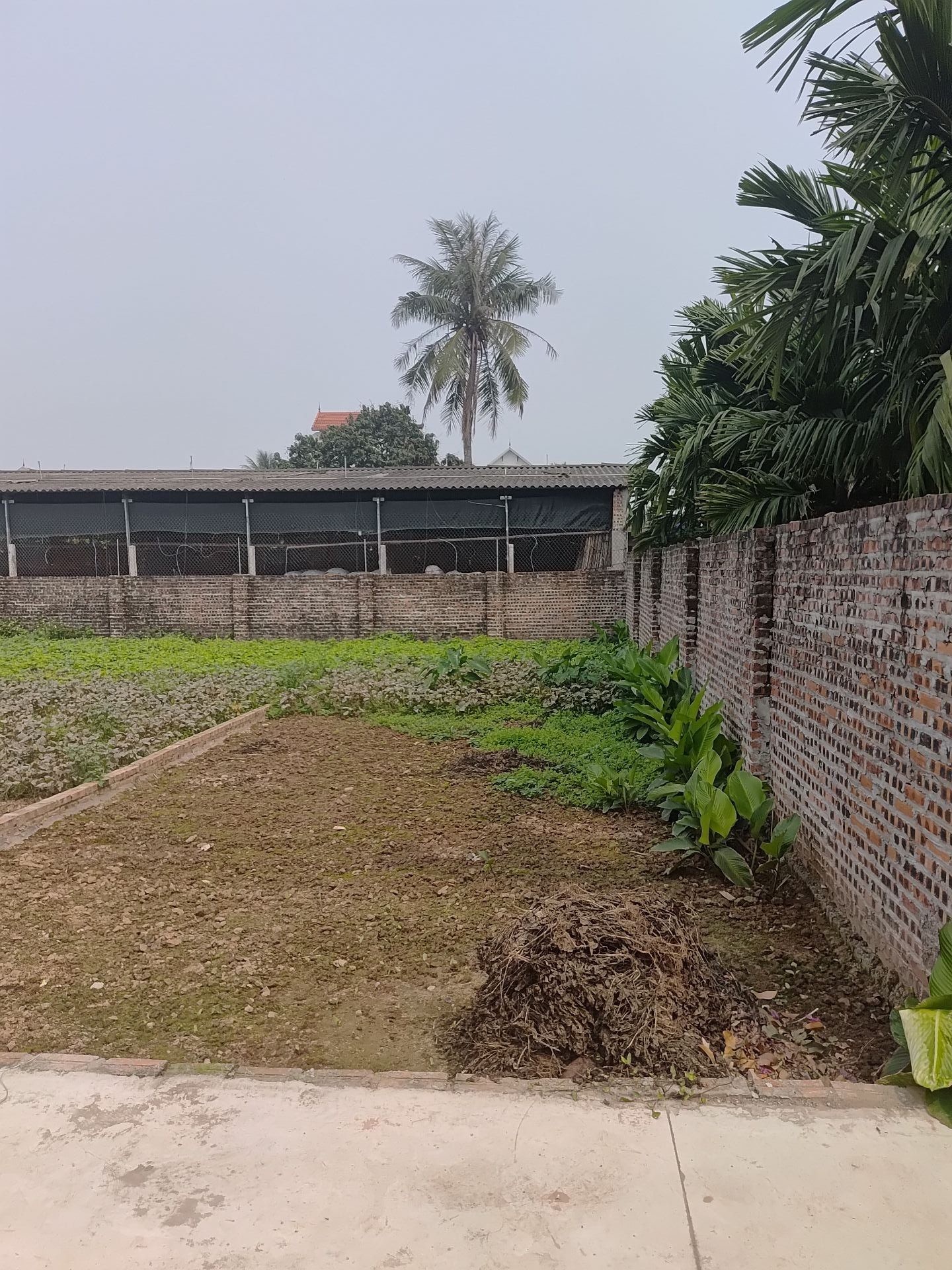 CHỈ 1 LÔ DUY NHẤT TẠI TÂN DÂN – 82M² VUÔNG ĐẸP – Ô TÔ GẦN ĐẤT! 🔥 NGÕ NÔNG – Ô TÔ TRÁNH GẦN ĐẤT – MẶT TIỀN 4,8M – ĐẦU TƯ HOẶC XÂY NHÀ ĐỀU ĐẸP