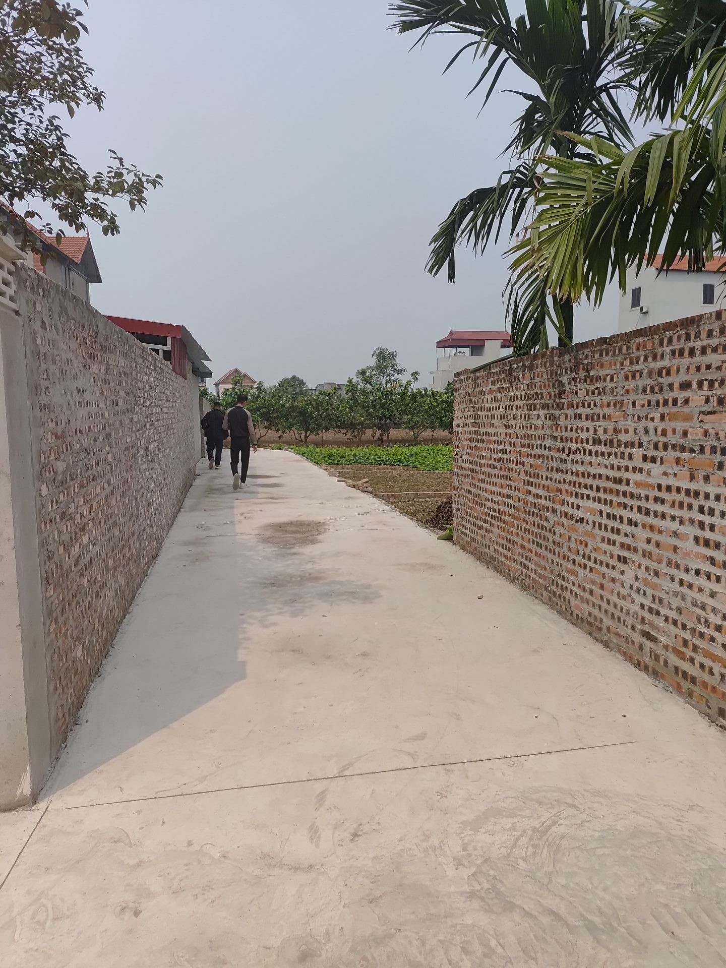 CHỈ 1 LÔ DUY NHẤT TẠI TÂN DÂN – 82M² VUÔNG ĐẸP – Ô TÔ GẦN ĐẤT! 🔥 NGÕ NÔNG – Ô TÔ TRÁNH GẦN ĐẤT – MẶT TIỀN 4,8M – ĐẦU TƯ HOẶC XÂY NHÀ ĐỀU ĐẸP