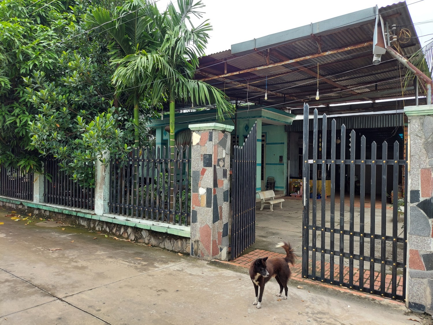 Cần Bán Nhà 861m2 Tại Thị Trấn Hòa Thành ,Hòa Thành ,Tây Ninh - Ảnh 1