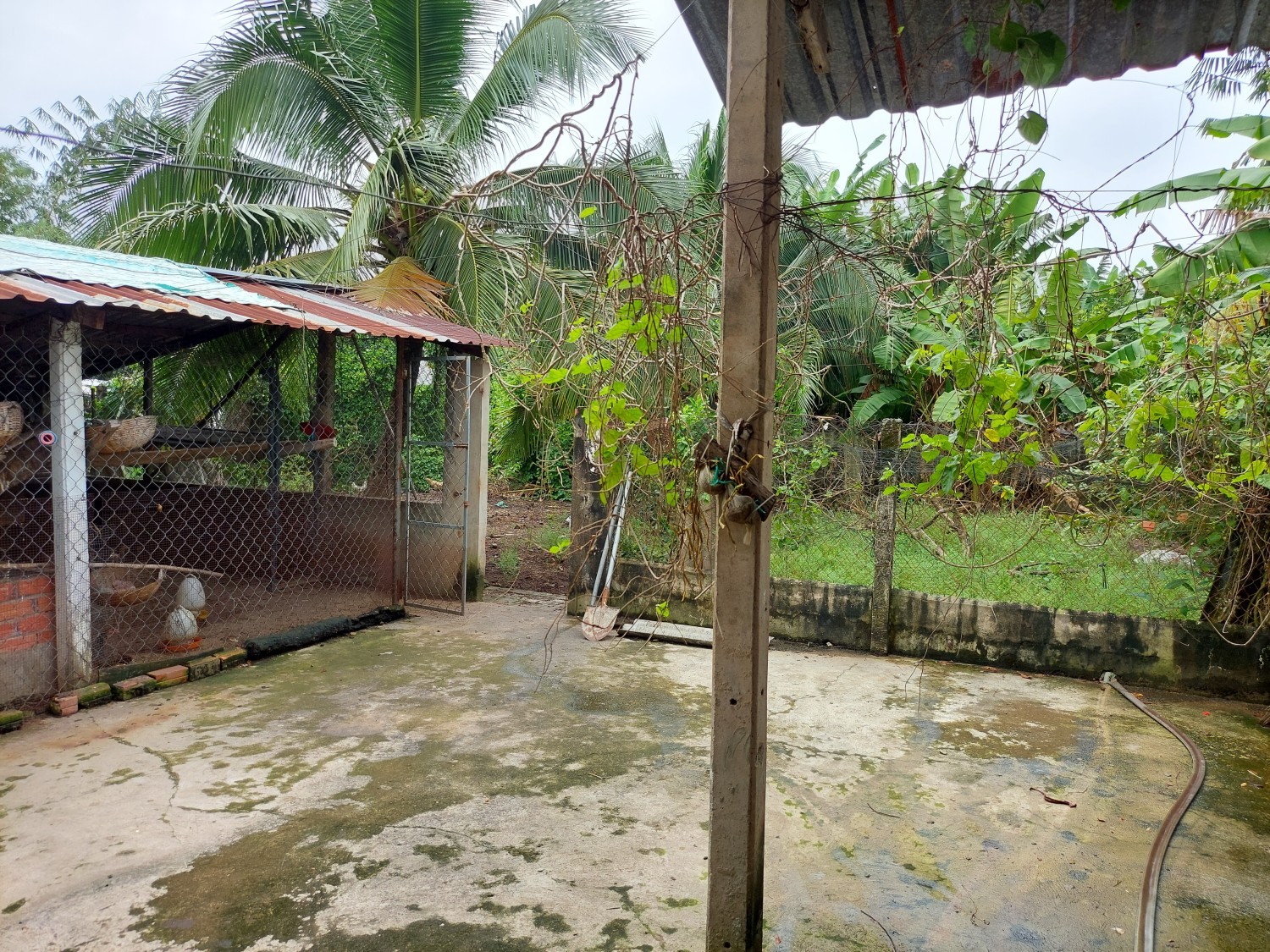 Cần Bán Nhà 861m2 Tại Thị Trấn Hòa Thành ,Hòa Thành ,Tây Ninh - Ảnh 2