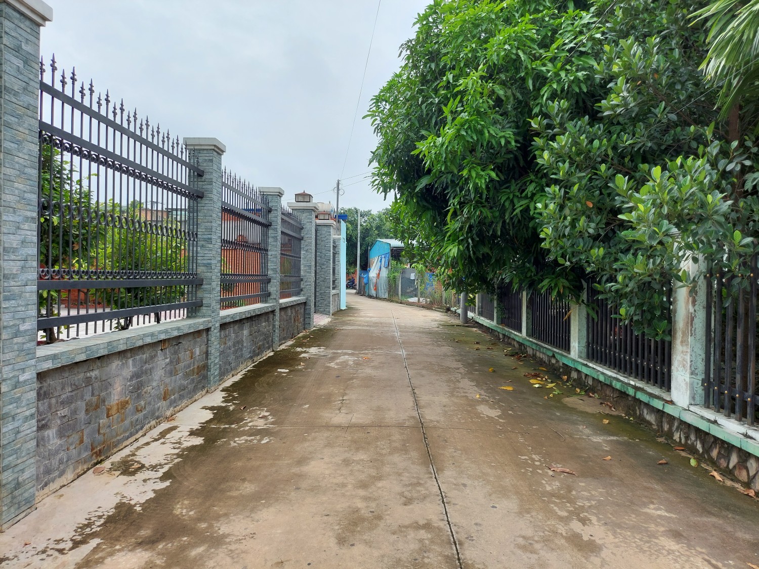Cần Bán Nhà 861m2 Tại Thị Trấn Hòa Thành ,Hòa Thành ,Tây Ninh - Ảnh 4