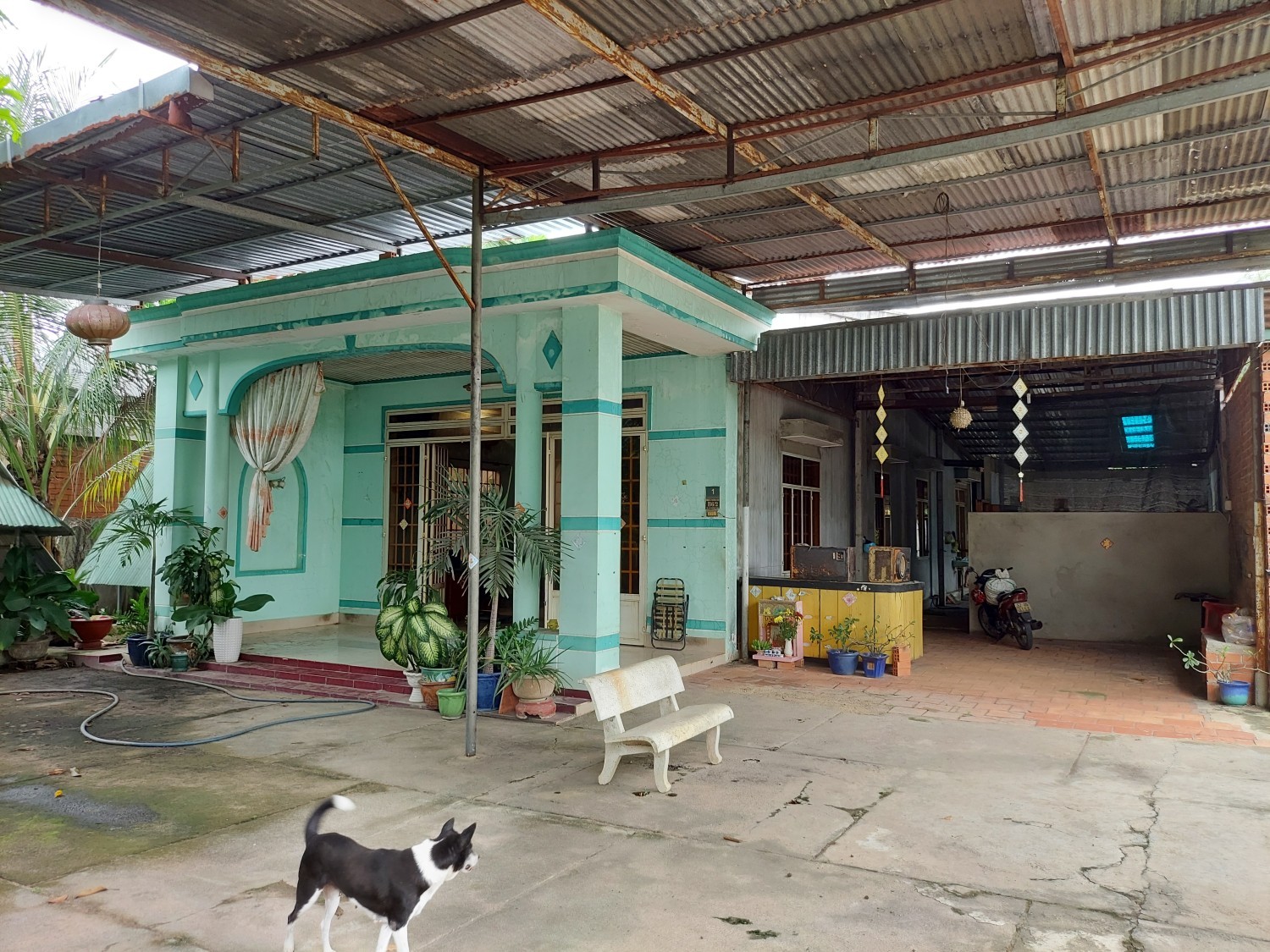 Cần Bán Nhà 861m2 Tại Thị Trấn Hòa Thành ,Hòa Thành ,Tây Ninh - Ảnh 7